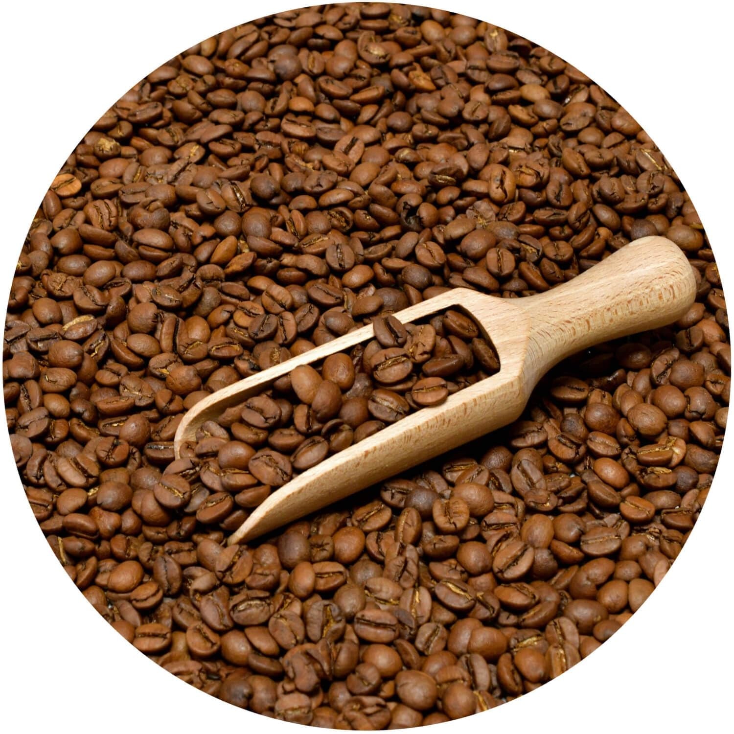 Set med kaffebönor 3x1kg 3000g | Brasilianska Guaxupe | Brasilianskt kaffe | Specialkaffe | Nystekt | Hantverksmässigt kaffebageri