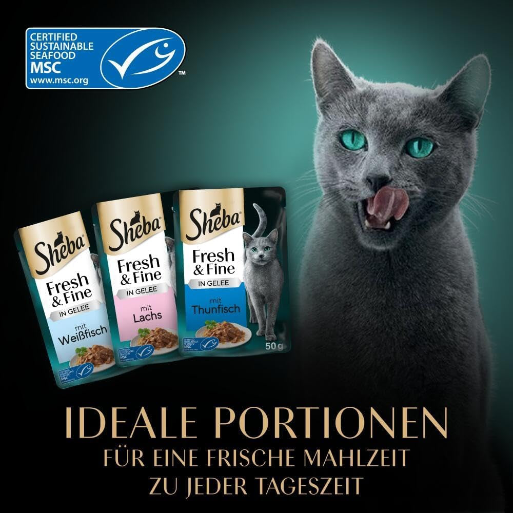 Sheba Portion Pouches Våtfoder för katter, Multipack Fresh & Fine i gelé med MSC tonfisk och lax, 6x6x50g - Hälsosamma måltider för katter med gelé