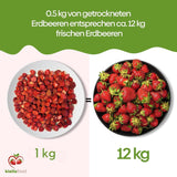 biolla mat hela torkade jordgubbar, 0,5 kg, 100% naturliga. Hälsosamma mellanmål för barn. Perfekt för smoothies, havremüsli, te och gröt. Lång hållbarhet. VEGAN, GLUTENFRI, RAW FOOD Naty Shop Dehydrerade produkter