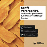 Bremer Gewürzhandel mango, torkade mango remsor, osvavelfria, utan tillsatt socker, 1 kg Dehydrerade produkter Naty Shop