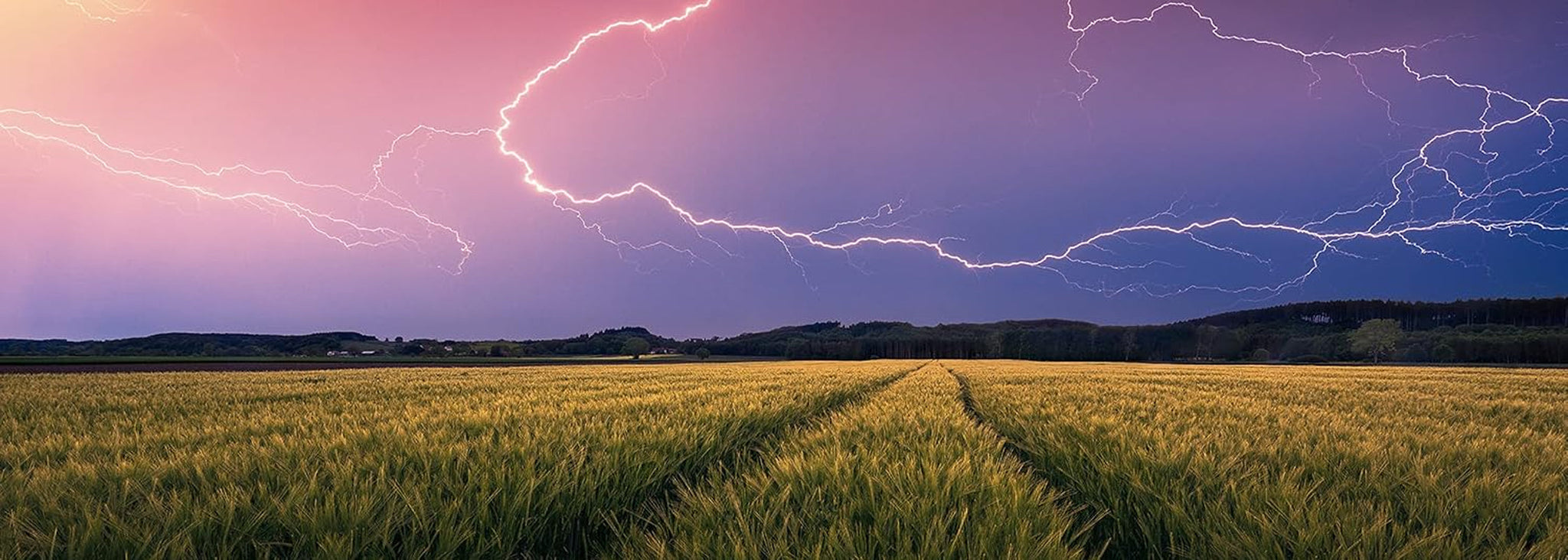 Ravensburger Nature Edition 17491 Summer storm - 500 bitar pussel för vuxna och barn i åldern 12+ Puzzle Naty Shop