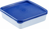Westmark 4 matförvarings-/frysbehållare, inklusive lock, kapacitet: 0,25 l styck, stapelbar, plast, Trio, färg: transparent/blå, 25042270 Matförvaringslådor Naty Shop