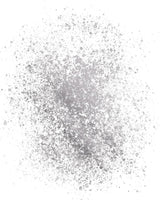 Ätbar matspray med glitter NYTT SILVER SKIMRANDE 5G pump med metallpulver för snabb och effektiv dekoration av kakor, krämer, geléer, praliner, choklad och sockerdekorationer