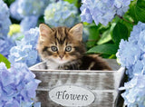 Barnpussel Ravensburger - 12894 Little Cat - Djurpussel för barn från 9 år, med 300 bitar i XXL-format Puzzle Naty Shop