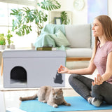 Filtar och möbler, husdjur, grottor och hus, katter, sängar för katter, katter - sängar, madrasser