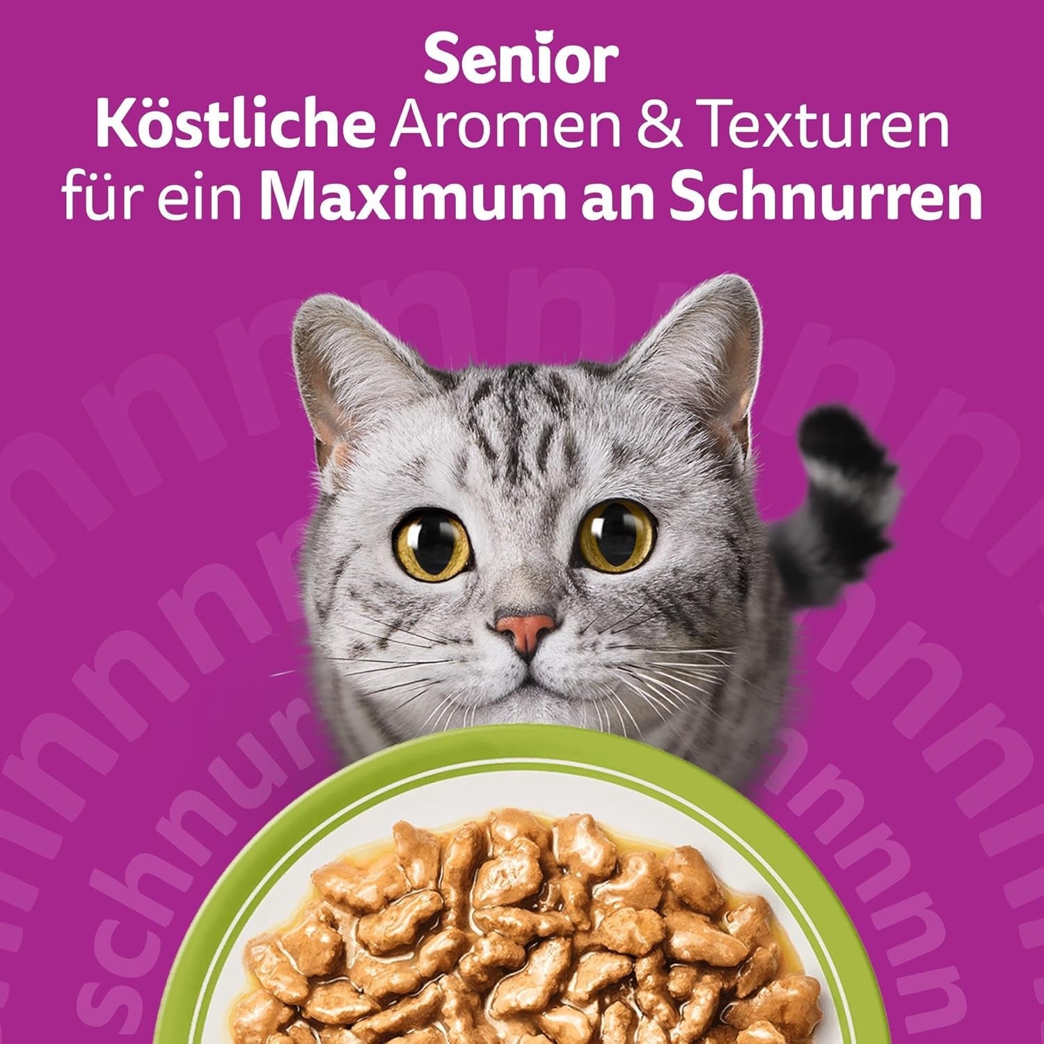 Whiskas Senior 7+ våtfoder blandat urval i sås, 48 ​​dospåsar, 12x85 g (paket med 4) - våtfoder av hög kvalitet för katter från 7 år och äldre