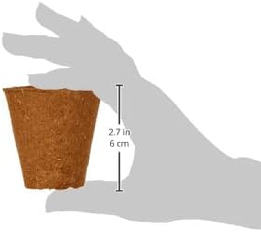 Dehner krukor för plantor, runda, Ø 6 cm, 96 st, bruna