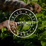 Twinings SWEET DREAMS Kamomillte med honung, apelsin och limeblom - Söt blandning av örtteer för naturlig sömnförbättring, 12-pack (10 tepåsar vardera)