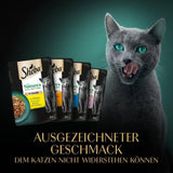 SHEBA Nature's Collection i Gravy - Högkvalitativt våtmat för katter, Fine Variety (MSC) i portionspåsar - 72 x 85 g