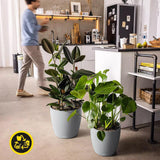 LECHUZA Classico Color ECO 35 ljusgrå blomkruka med bevattningssystem och vattennivåindikator | Tillverkad av 100 % återvunnen plast | Matt finish | Ø 34,5 x 32,5 cm | 18930