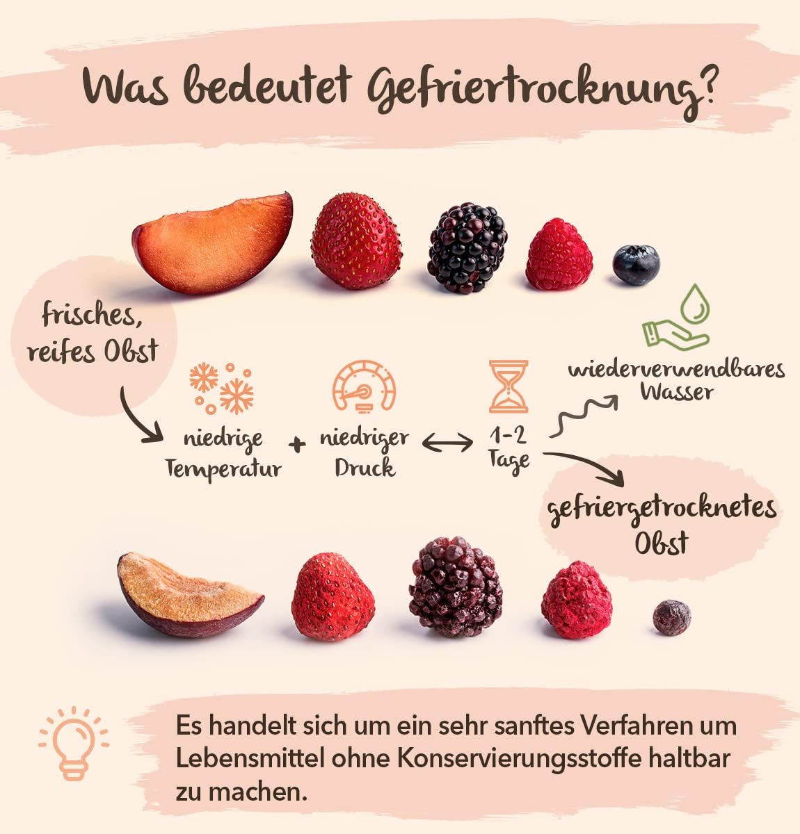 Frystorkade aprikoser BRIX | Naturliga, torkade aprikoser 85 g | Great Taste Award för torkad frukt, torkad | Icke-GMO, glutenfri, vegan, konserverade vitaminer Naty Shop Dehydrerade produkter