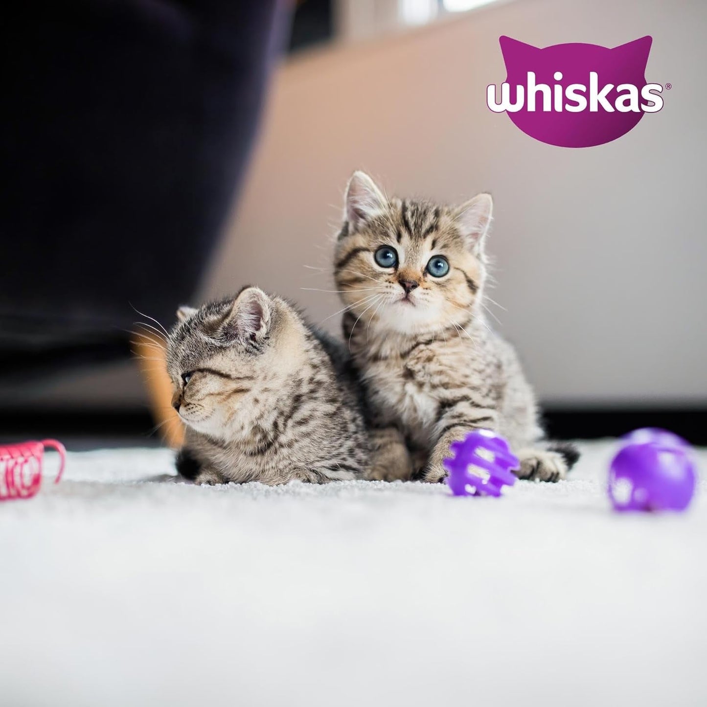 Whiskas Junior Classic Selection våtfoder för katter i sås, 48 ​​påsar, 12 x 85 g (paket med 4) - Högkvalitativt våtfoder för växande katter, 2 till 12 månader