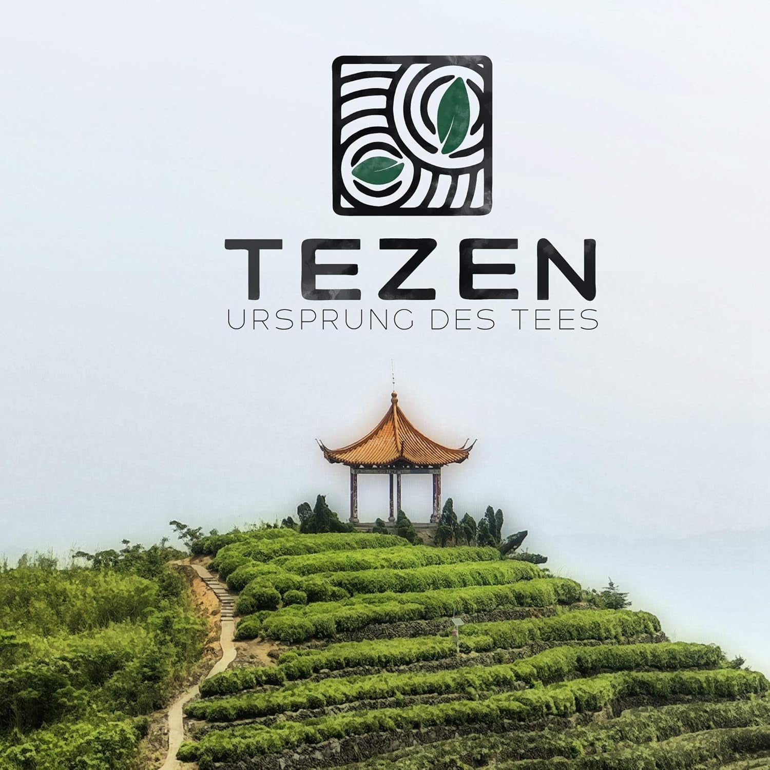 Tie Guan Yin Oolong Tea från Anxi, Kina | Skörd 2025 | Högkvalitativt kinesiskt Oolong-te | Premium kinesiskt te från traditionella plantager 100 g