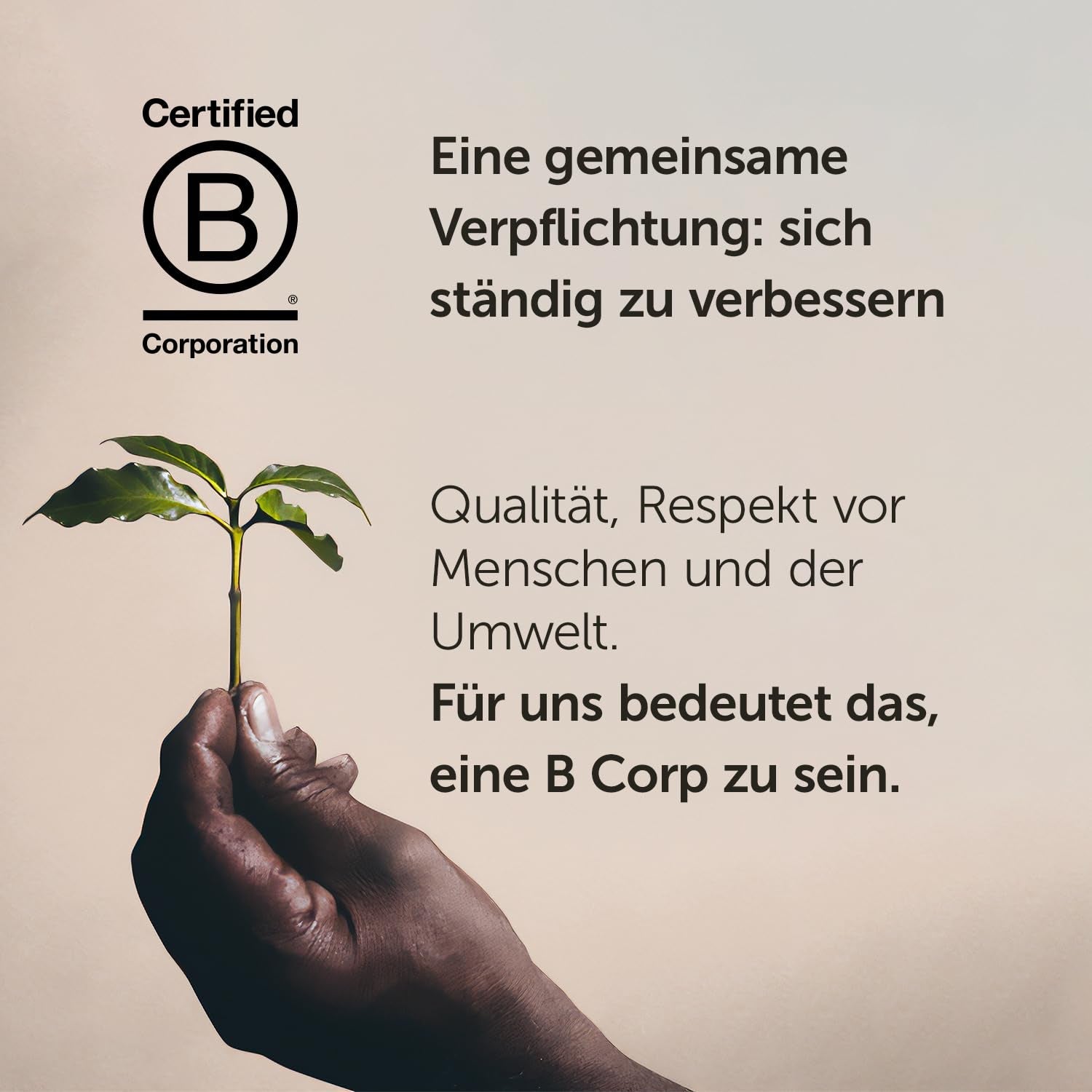 Illy Arabica Selection Guatemala kaffebönor för malning, kartong 250g