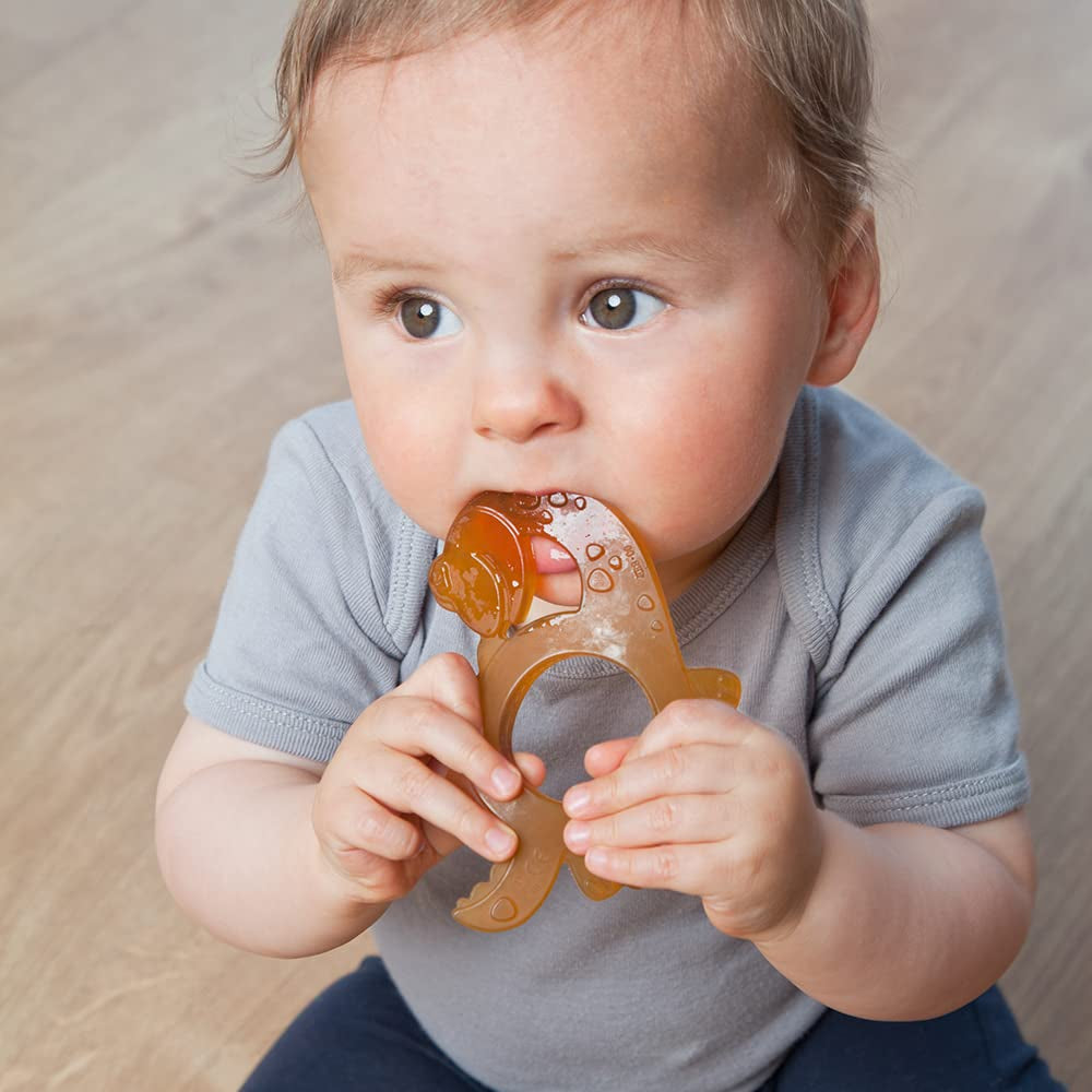 GRÜNSPECHT Organisk tandring Naturgummi för barnsjukdomar, masserar tandkött, BPA-fritt, mjukt, främjar finmotorik, dinosauriemönster (639-V1)