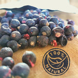 Frystorkade svarta vinbär | 100 % naturliga torkade vinbär | Inget tillsatt socker Hälsosamt frystorkat godis | Frystorkade frukter Frystorkade frukter Dehydrerade produkter Naty Shop