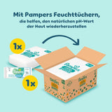 Pampers Premium Protection Pants Größe 6, 78 Windeln, 13kg-19kg, Mit 360° Fitform, 2x breiteren Bundchen als vorher för Komfort & Schutz + 10 Stück Pampers Aqua Baby-Weuchttücher enthalten