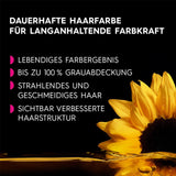 Garnier Olia 110 Cool Ash Blond Ammoniakfri Permanent hårfärg med närande naturliga oljor Full täckning Grått hår Permanent Färg 1 Styck (2 Pack) Naty Shop Hårfärg