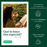 Ekologiskt Gyokuro japanskt grönt te (100 g) | Premium bulk te | Raffinerad umamismak och delikat sötma | OMPLANTERA
