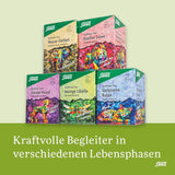 Salus - Krafttier Tea - Brave Dragonfly - 1X 15 filterpåsar (24g) - Örtte med citronsmak - Med johannesört - Smaksatt - Bio
