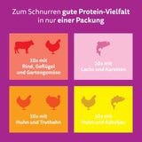WHISKAS SMAKLIG MIX Nassfutter i sås für Katzen 40 x 85 g Chef's Choice