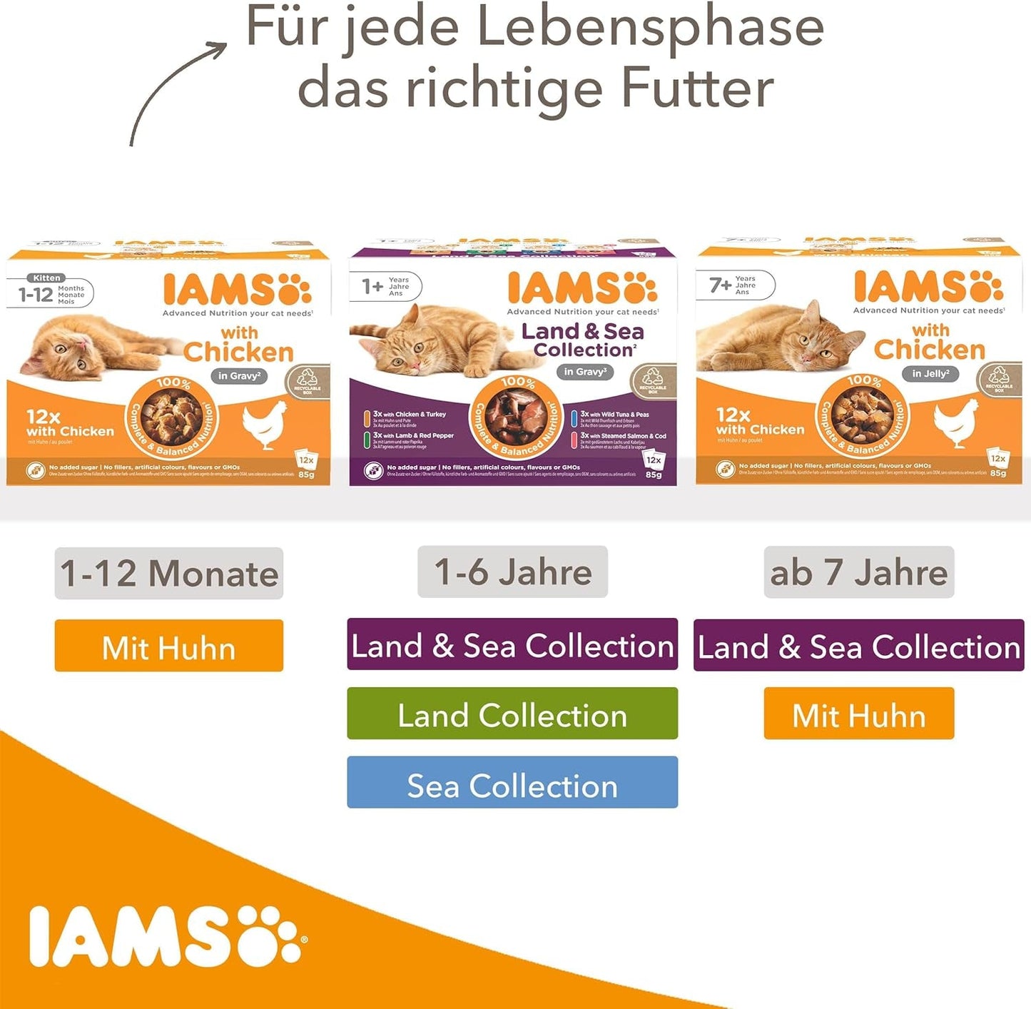 IAMS Delights Kitten Nassfutter - Multipack Katzenfutter med Hunn i sås, högkvalitativ Futter für Junior Kätzchen av 1-12 Monate, 12 x 85 g
