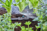 Gardena Micro-Drip-System T-stycke för sprutmunstycken: Anslutning mellan 13 mm rör och ett sprutmunstycke, automatisk växtbevattning, snabb och enkel anslutningsteknik, återanvändbar (13206-20)
