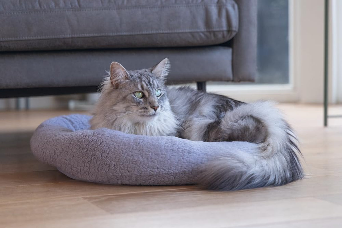 Sängar, filtar & möbler, husdjur, katter, kattsängar, Katter - sängar, madrasser