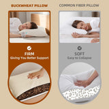 LOFE Organic Bovete Sovkudde 14" X 20" Justerbar Andas Cool Sleep cervikalt stöd för rygg- och sidosliprar (tartariskt boveteskrov) Naty Shop Standardkuddar