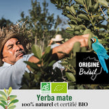 ORIGEENS BIO YERBA MATE TEA 200G - The Original I Bio Yerba Mate orostad, blad, utan stjälkar, damm och smulor I Energigivande och avgiftande dryck