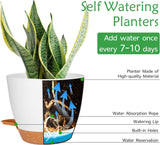 CSYY blomkrukor Set med 7 plastblomkrukor med bevattningssystem 20.3/19/17.7/16.5/15.2/14/12.7cm självvattnande krukor och fat inomhus utomhus