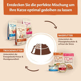 Wellness CORE 98% 12 x 85g, nötkött - våtfoder för katter, tjock paté, spannmålsfri, naturlig, hypoallergen, hög proteinhalt, hög halt av kött