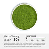 Matchaterapi 30+ | Ekologiskt Matcha-tepulver | 60 g | Med ett verifierat innehåll på minst 30 mg/g katekin EGCG | Stödjer immunförsvaret och energinivåer | Ceremoniell kvalitet | Grönt te från Japan