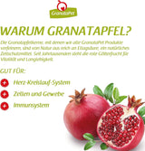 GranataPet Filet à la carte Kyckling PURE, blöt kattmat, spannmålsfria filébitar, kattmat utan tillsatt socker, hög kötthalt, 6 x 85 g