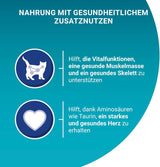 PURINA ONE Senior 7+ blötmat för katter, möra bitar i kycklingsås, förpackning om 26 (26 x 85g)