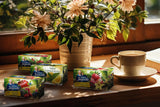 Babcia Jagoda - Fruktte "Fruchtige Verführung" - 20 tepåsar - Med hibiskus, äpple, aronia, björnbär, nypon, apelsinskal - Intensiv fruktsmak, koffeinfri, vegansk, naturlig, Cay - 40G