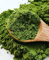Matcha Umami Bio Green Tea Powder - premiumkvalitet, odlat i Uji, Kyoto (Japan) Från ekologiskt jordbruk. 50 g