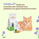 Almo Nature Functional - Tarmhjälp - Våtfoder för vuxna och mogna katter med känsliga tarmar - med fjäderfä - stödjer mikrobiomet - 70 g (förpackning med 30)