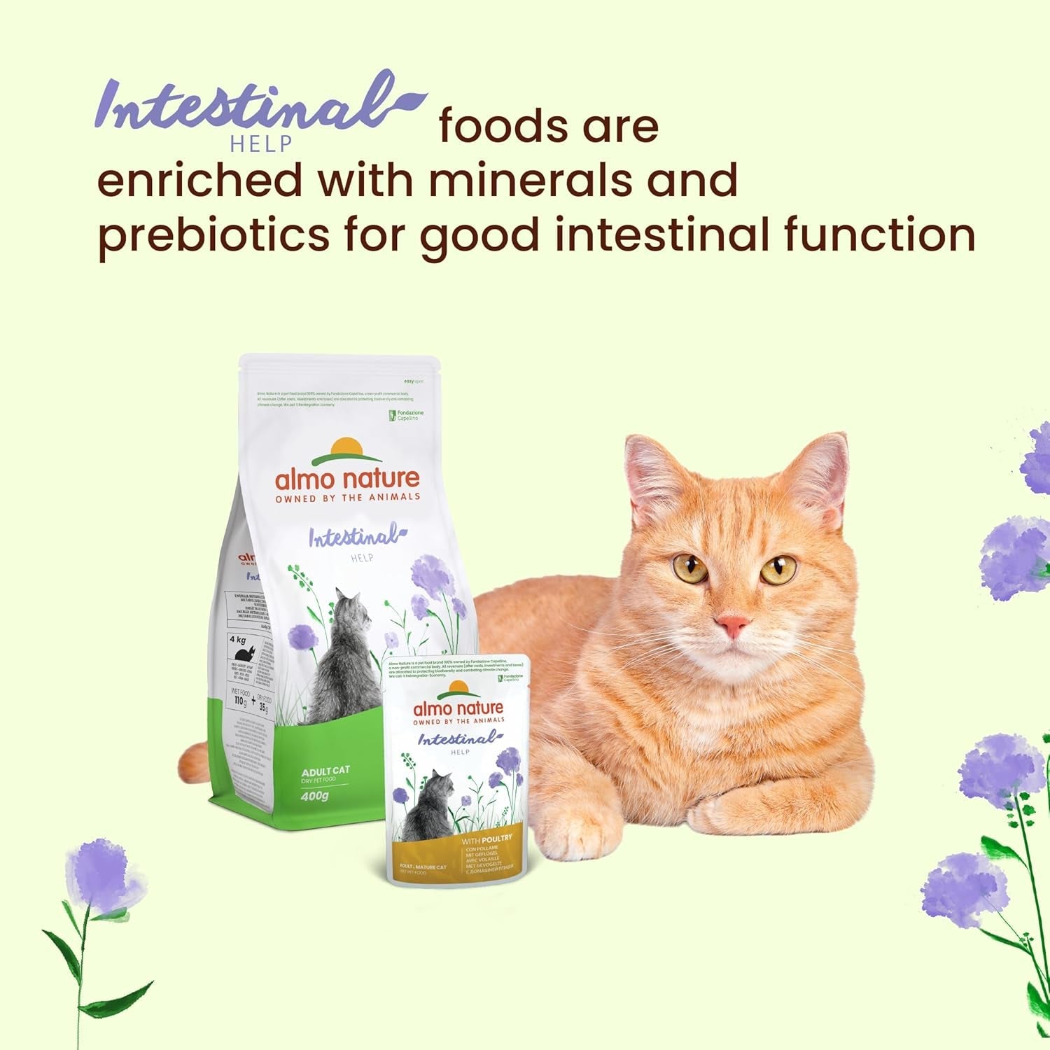 Almo Nature Functional - Tarmhjälp - Våtfoder för vuxna och mogna katter med känsliga tarmar - med fjäderfä - stödjer mikrobiomet - 70 g (förpackning med 30)