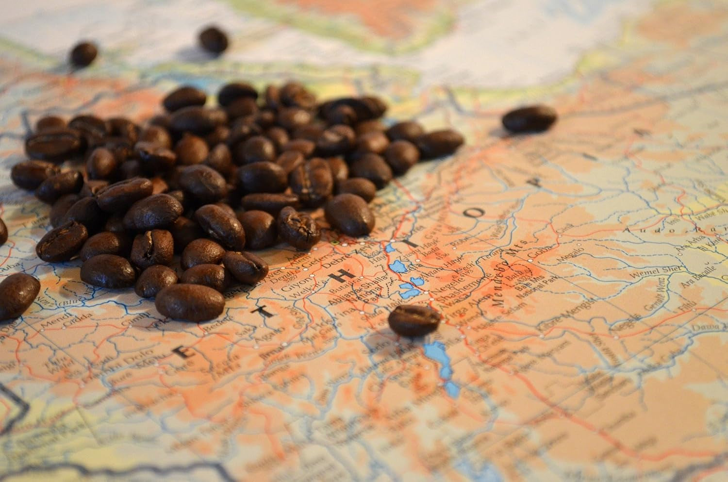 C&T Coffee Rarity - Wild Coffee från Etiopien, Afrika | 1000g kaffe (hela bönor) - starkt och fruktigt | + Wild Cultivated + Hand Picked + Sun Dried + Lightly Roasted