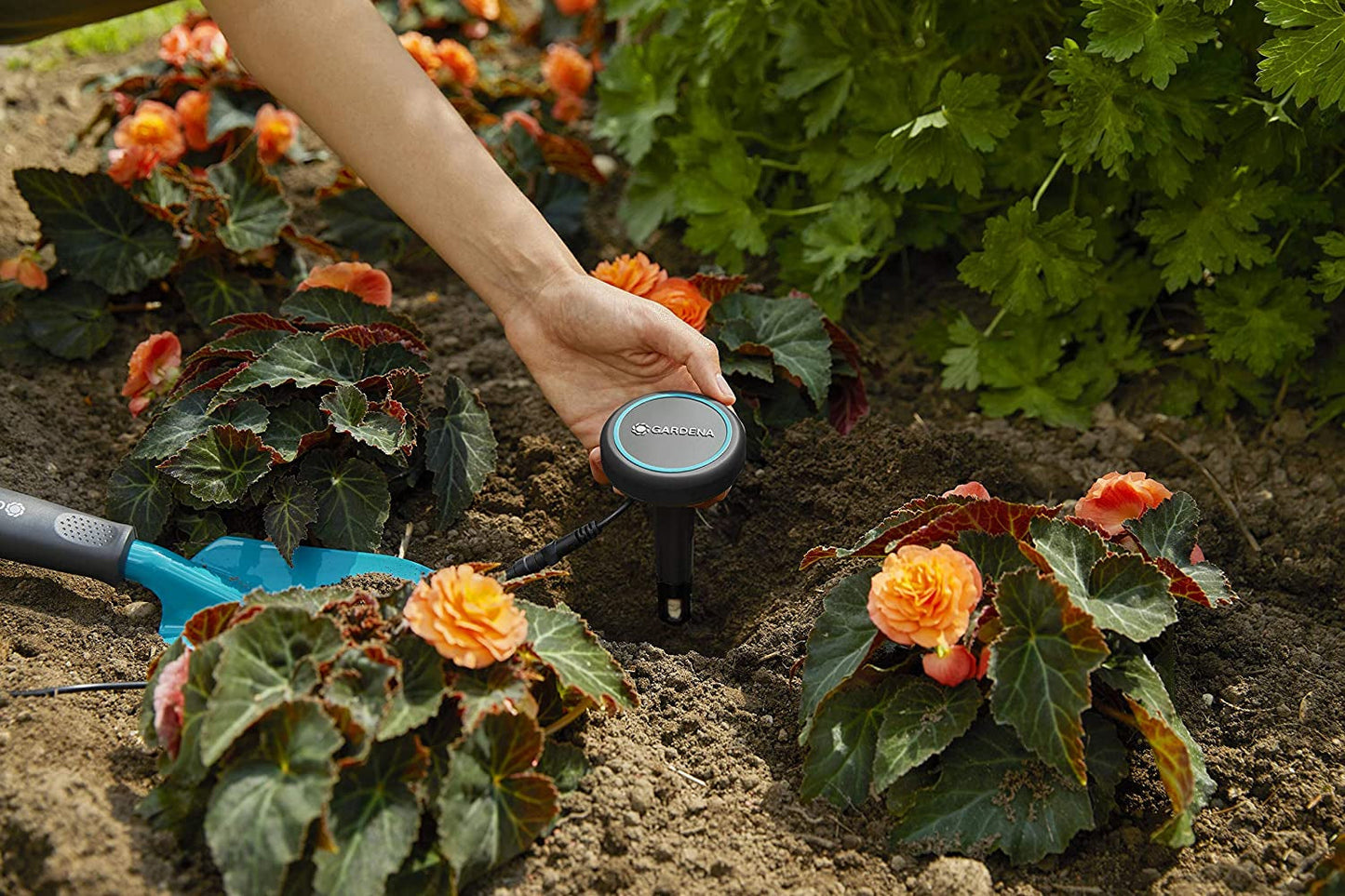 Gardena förlängningskabel (10 m) för regnsensor och jordfuktighetssensor, anslutningskabel med Easy Click-system, förlängbar upp till 105 m, för användning över och under marken (01868-20)