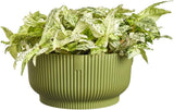 elho Vibes Fold Bowl 25 - Blomkrukor inomhus - 100% återvunnen plast - Ø 24,9 x H 12,1 cm - Grön/Ferngrün