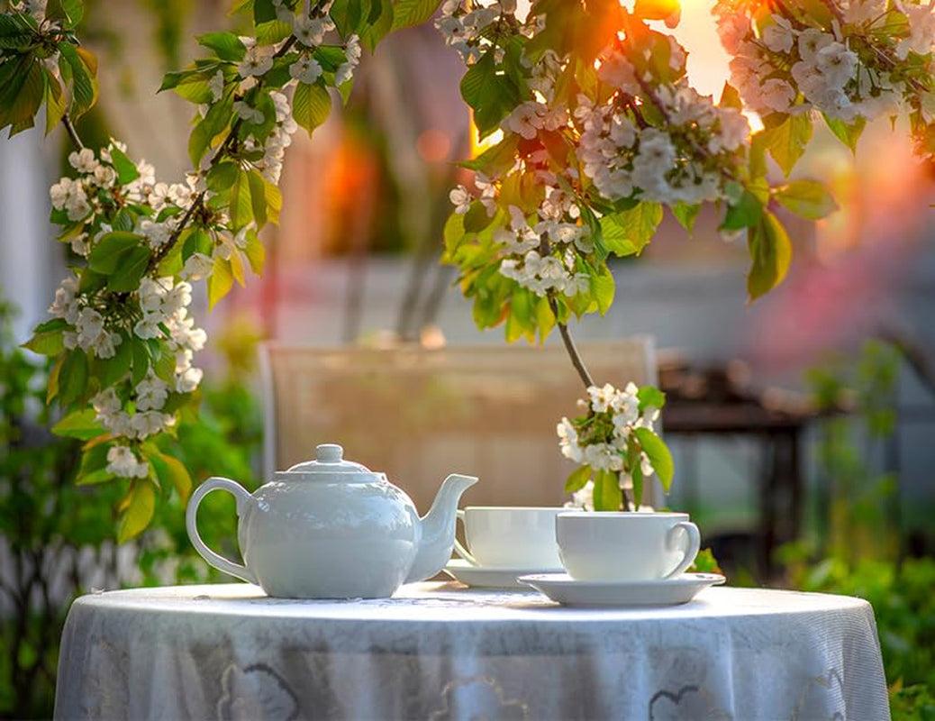 Babcia Jagoda - Fruktte "Fruchtige Verführung" - 20 tepåsar - Med hibiskus, äpple, aronia, björnbär, nypon, apelsinskal - Intensiv fruktsmak, koffeinfri, vegansk, naturlig, Cay - 40G