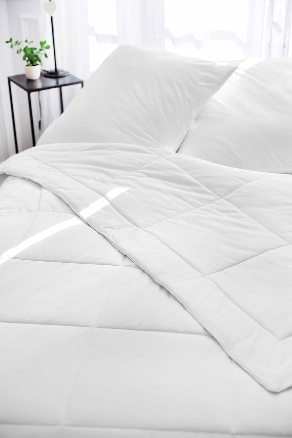 Toison D'Or Silkydor naturtäcke, 380 satin bomull, 240 X 280 cm, vitt Täcken och täcken Naty Shop