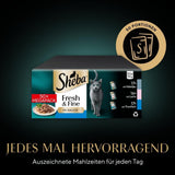 Sheba CATCARE Bag Wet Fresh & FINE (Fisk) Bitar i sås Vuxen 50g Multipack Standard