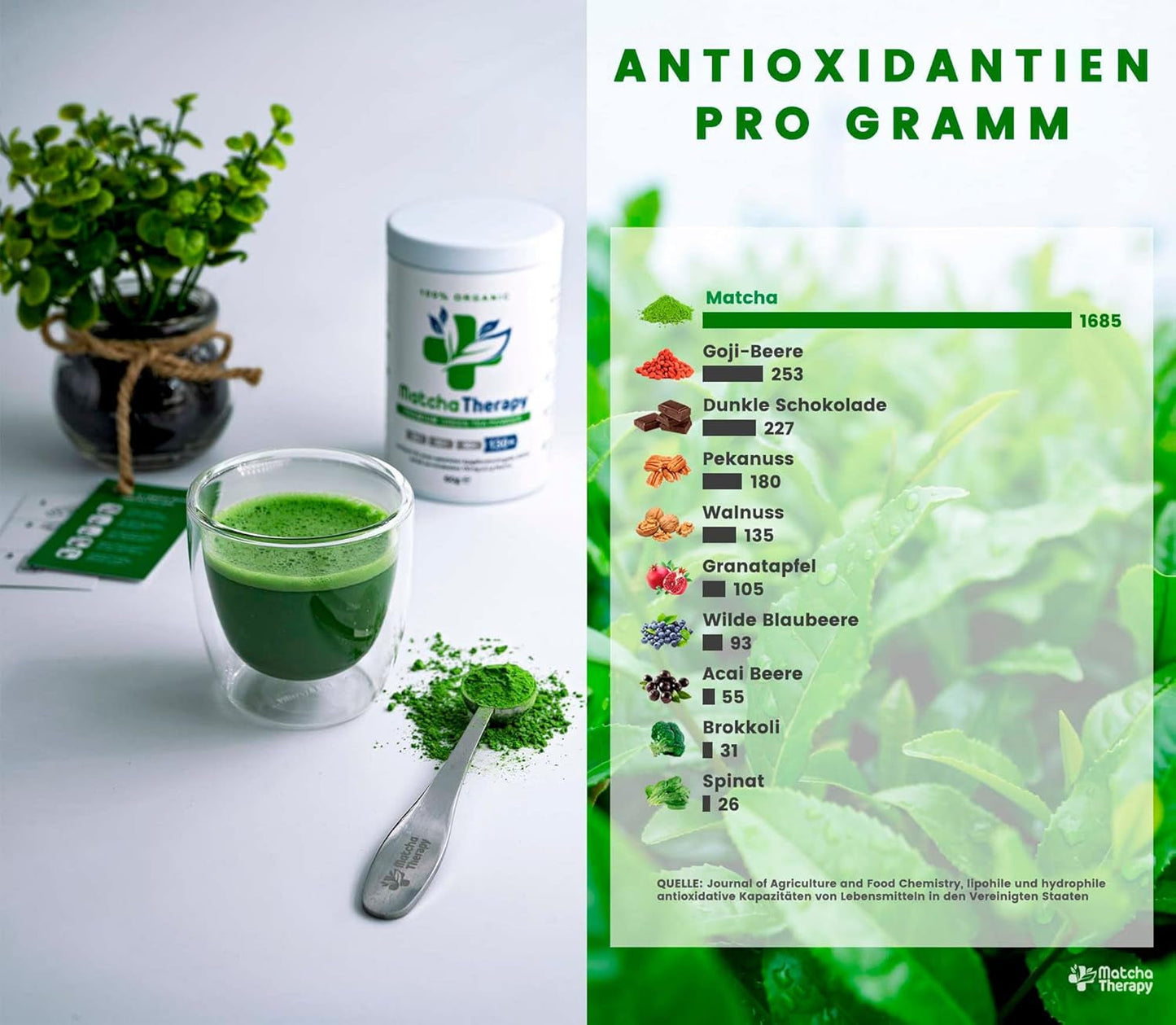Matchaterapi 30+ | Ekologiskt Matcha-tepulver | 60 g | Med ett verifierat innehåll på minst 30 mg/g katekin EGCG | Stödjer immunförsvaret och energinivåer | Ceremoniell kvalitet | Grönt te från Japan
