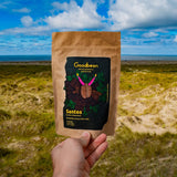 Santos | Kaffebönor 2500g - 100% Arabica från Brasilien | för espresso, cappuccino eller starkt filtrerat kaffe | Omni Roast | Klassiskt kaffe - den perfekta introduktionen till specialkaffe