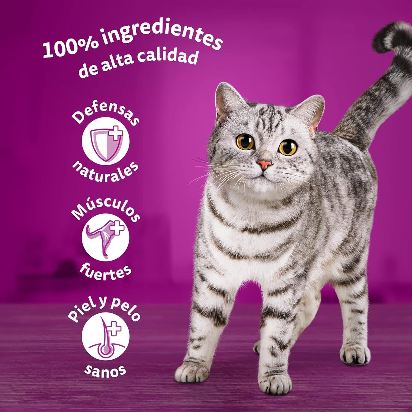 Whiskas Nassfutter für ausgewachsene Katzen, Fischauswahl in Jelly (Multipack, 4 x 12 x 85 g)