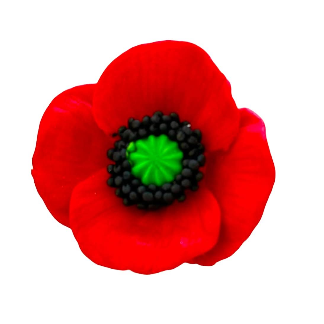 Ätsockerdekoration, Poppy Flower Sugar Paste Decorations Nati Shop