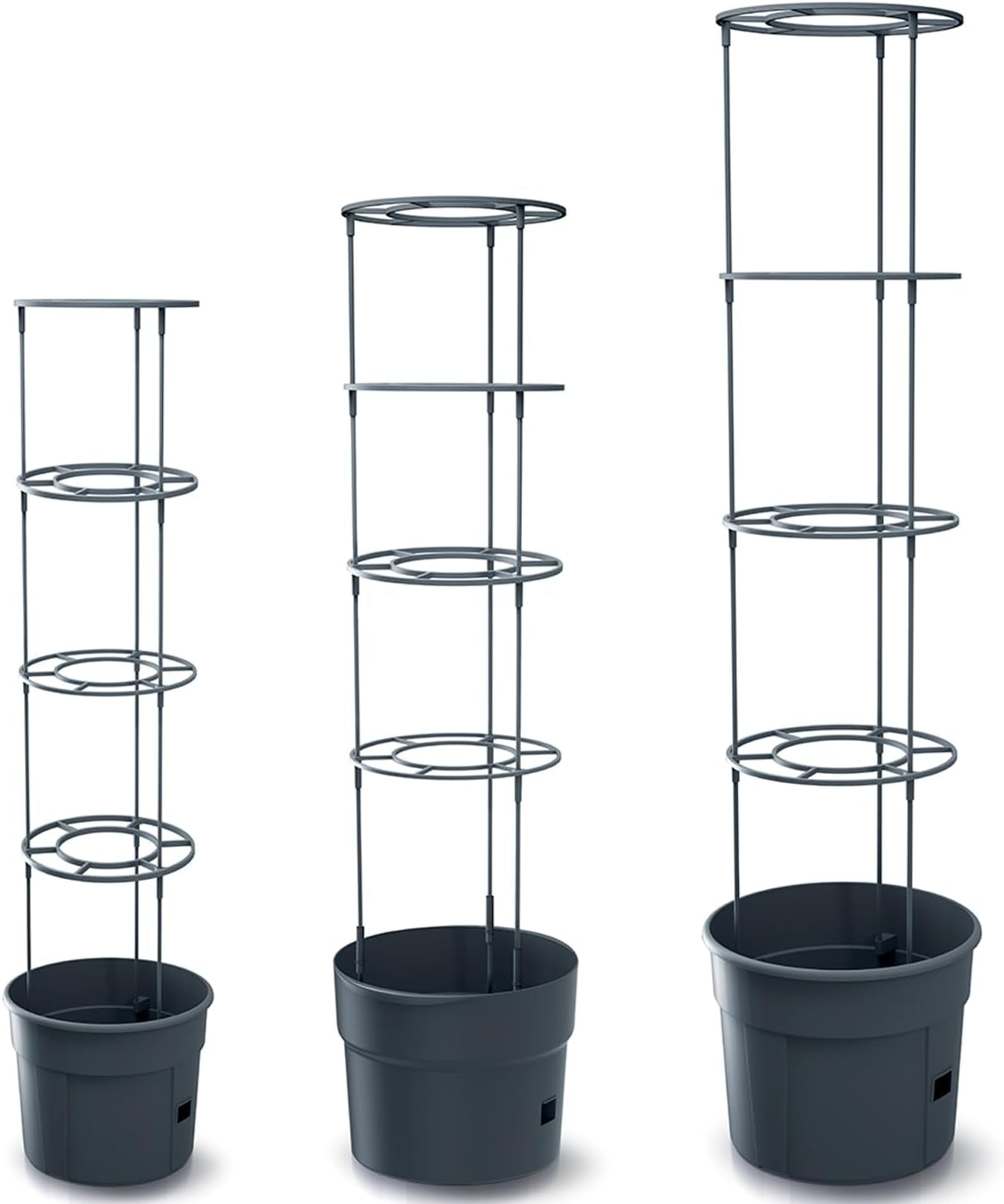 Prosperplast tomatplantakrukor med spaljé – Kraftig plastkruka | Antracit | Väder- och UV-beständig | 29,5 x 115,2 cm | Perfekt för trädgården och terrassen